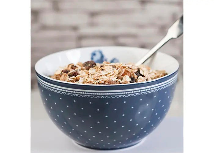 1Pcs Katie Alice Vintage Indigo Spot Cereal Bowl