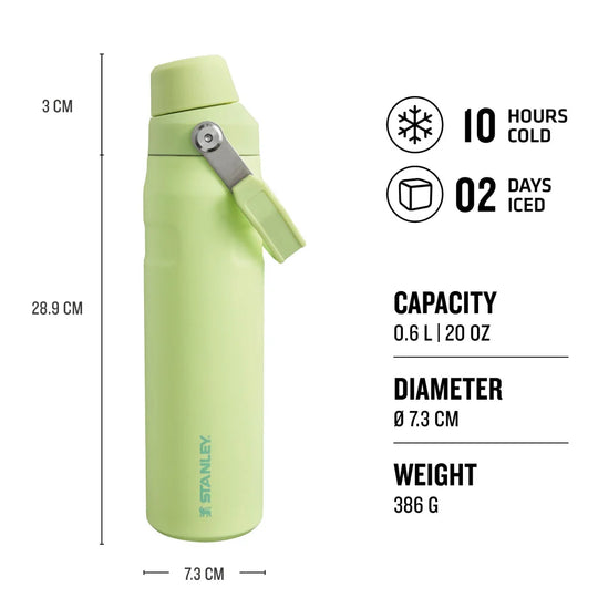 The Aerolight™ IceFlow™ Water Bottle Fast Flow 0.6L / 20oz - Citron