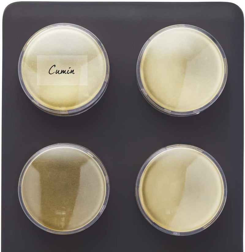 MasterClass Herb and Spice Rack Set with 8 Brass Finish Lidded Jars and Gift Box, Black Effect, 9 Piece
