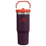 The IceFlow™ Flip Straw Tumbler 0.89L / 30oz - Plum
