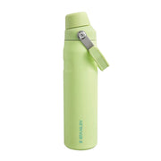The Aerolight™ IceFlow™ Water Bottle Fast Flow 0.6L / 20oz - Citron