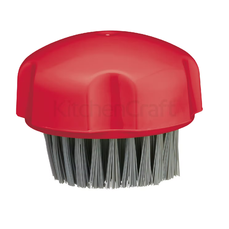 Colourworks Display of 24 Vegetable and Cleaning Brushes