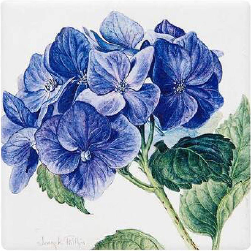 ASHDENE JENNY PHILLIPS CERAMIC COASTERS