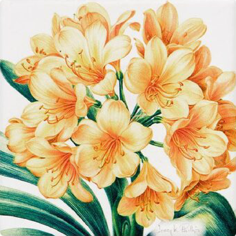 ASHDENE JENNY PHILLIPS CERAMIC COASTERS