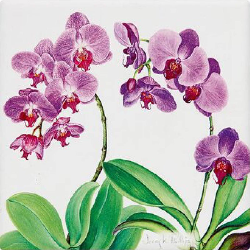 ASHDENE JENNY PHILLIPS CERAMIC COASTERS