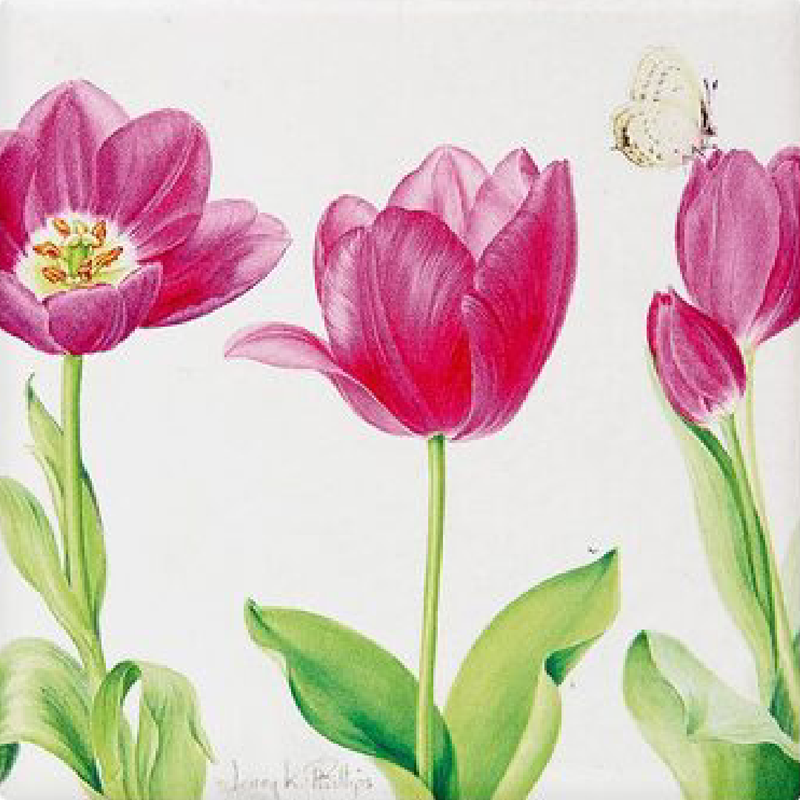 ASHDENE JENNY PHILLIPS CERAMIC COASTERS