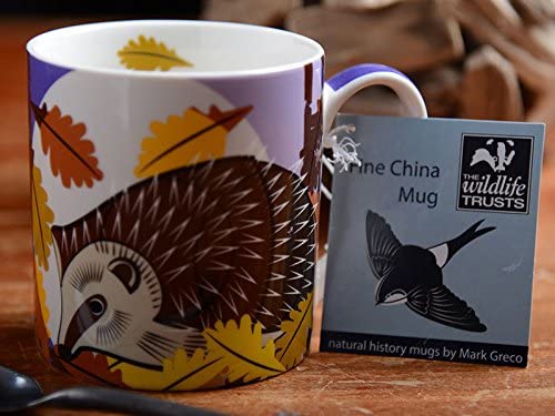 Creative Tops Wildlife Trusts Mark Greco Hedgehog Fine China Mug