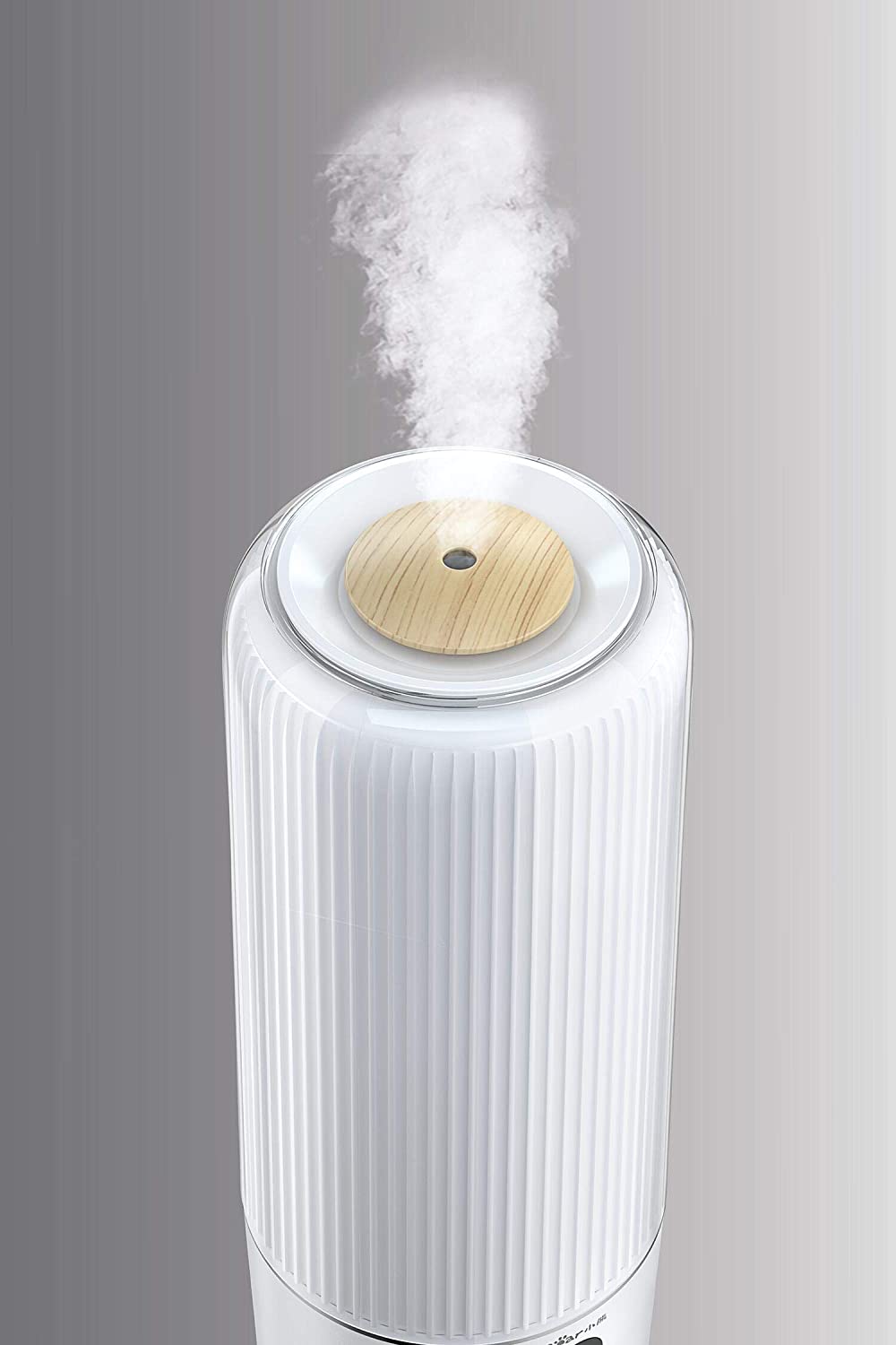 6L Digital Humidifier With Remote Control